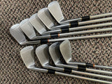 Northwestern "Chi Chi" Rodriguez Aluminum Shaft Iron Set 2-PW R Flex