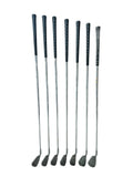 Ping Eye 2 Blue Dot Iron Set 4-PW Ping S Flex Shafts Whatnot