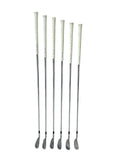 Titleist AP2 Forged Iron Set 5-PW Project X 5.5 R Flex Shaft GP Tour Wrap Grip