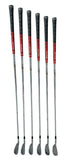 Titleist 710 AP2 Iron Set 5-PW Dynamic Gold S300 S Flex Shafts GP MCC Grips