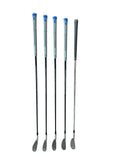 TaylorMade 2025/2019 P790 Iron Set 6-PW REAX 75g Stiff Flex Shafts