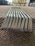 Northwestern "Chi Chi" Rodriguez Aluminum Shaft Iron Set 2-PW R Flex